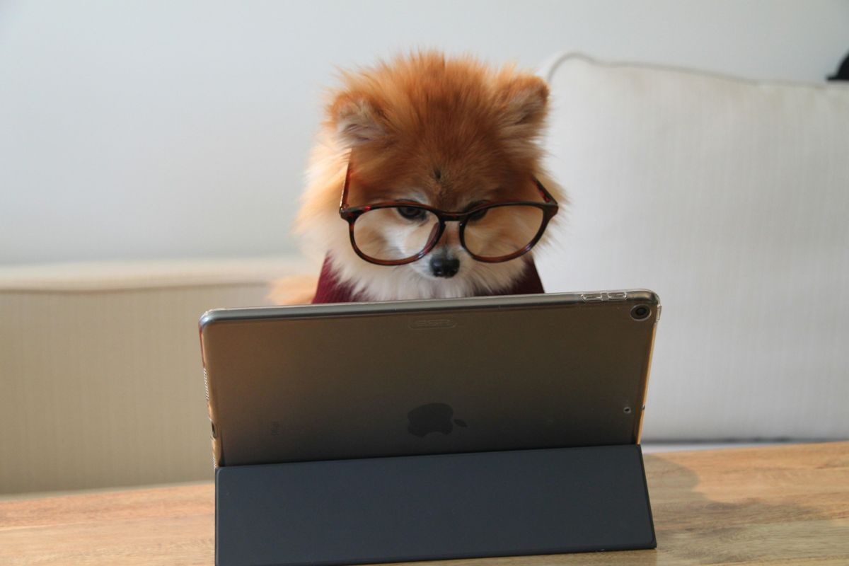 Top Note App for Mac: Study Better