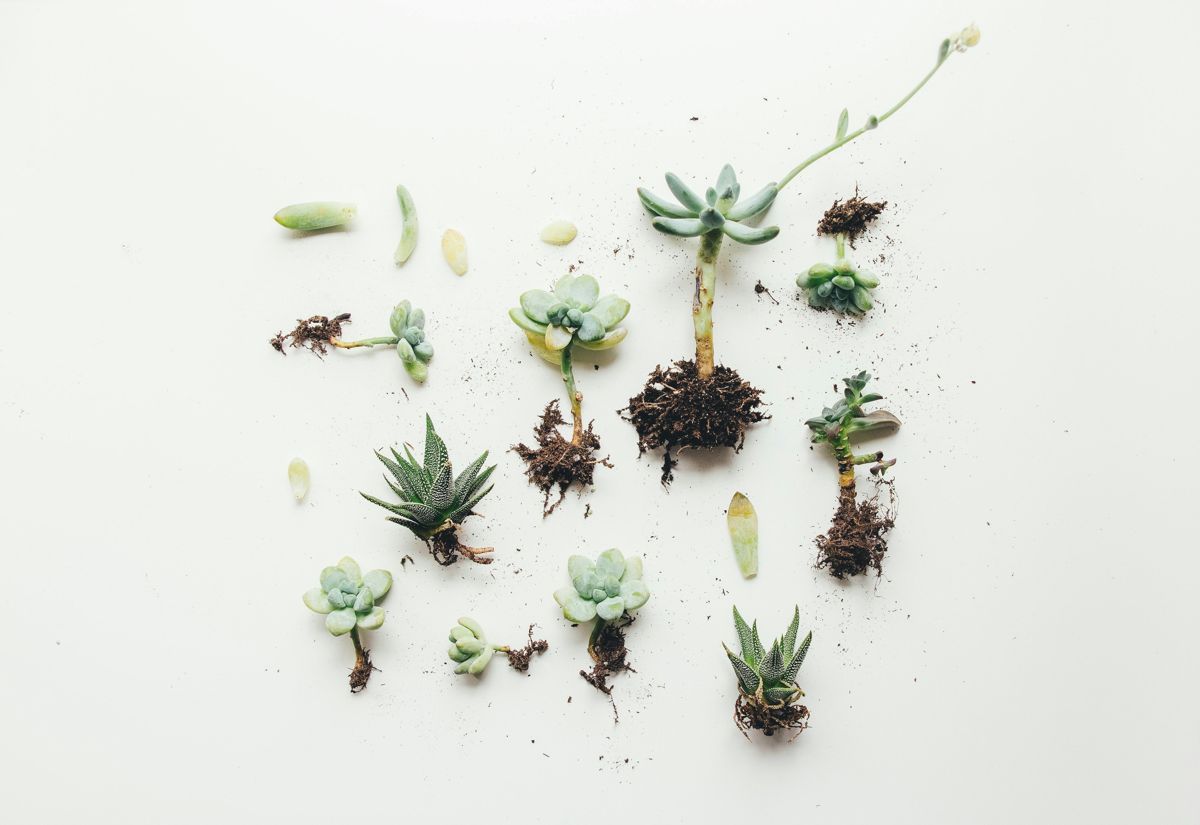 Training AI Sales Assistants: A Guide for Teams