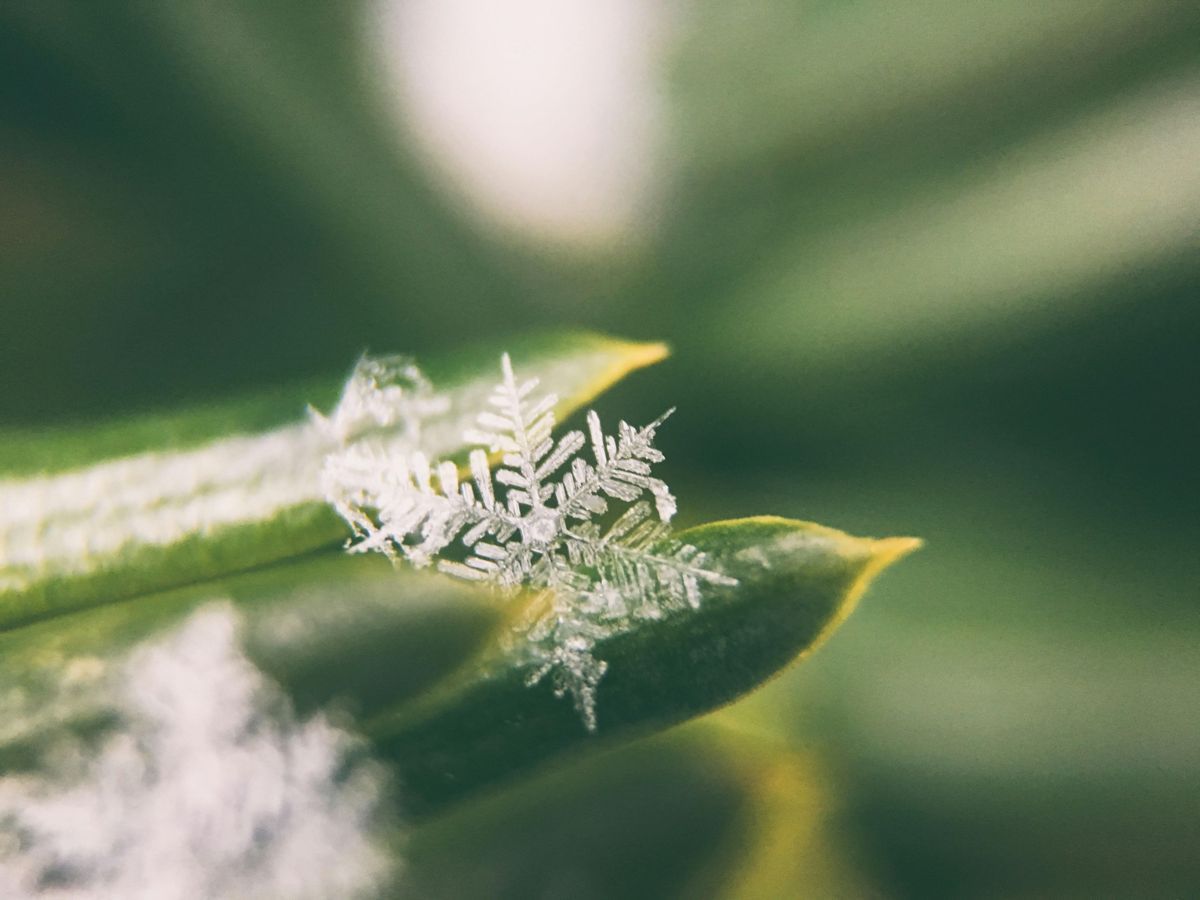 Mastering Open Source KM: Product Knowledge
